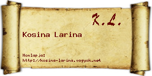Kosina Larina névjegykártya